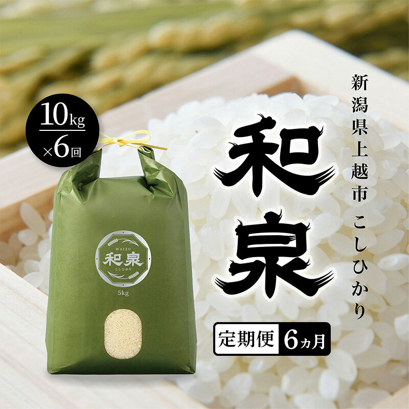 【ふるさと納税】先行予約 新米 定期便6ヶ月配送 令和8年 新潟県 上越産 こしひかり 10kg （5kg×2袋）×6回 和泉 ワイズファーム 上越市 精米 米 ギフト 喜ばれる コシヒカリ　お届け：2026年10月中旬～2027年10月下旬まで