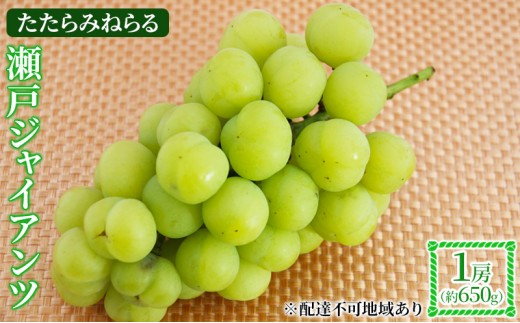 
            【2026年先行予約】 ぶどう 岡山県産 たたらみねらる 瀬戸ジャイアンツ 1房(約650g) 《2026年9月中旬-10月中旬頃出荷》 葡萄 ブドウ フルーツ 果物 スイーツ 数量限定 期間限定 岡山 里庄町 
          