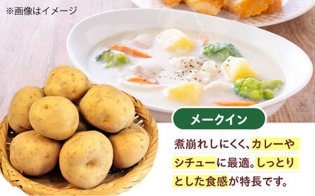 新鮮！ほくほく！ じゃがいも 5kg　メークイン　レッドムーン （5月下旬から6月頃発送予定） 大阪府高槻市/高槻あぐり[AOCS024]