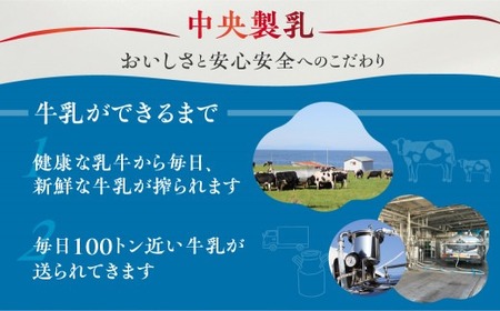  中央製乳 中央牛乳 1年 定期便 1L 6本 計6L