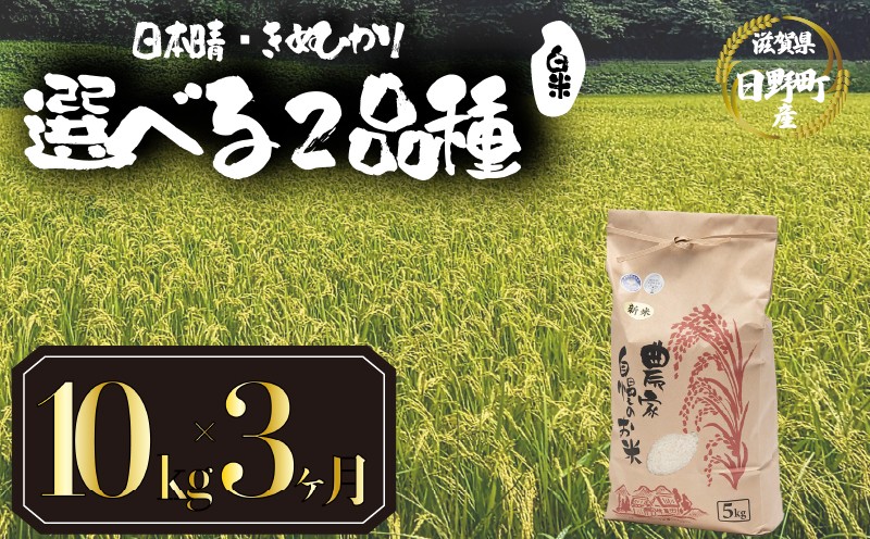 
            【 令和7年産 新米 10kg 定期便 3ヶ月 】 選べる 品種 日本晴 きぬひかり 米 白米 2025年産 にほんばれ キヌヒカリ 国産 滋賀県 日野町 農家直送 お米 精米 おこめ こめ 産地直送 ふるさと納税
          