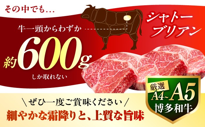 焼肉 和牛 国産 しゃとーぶりあん ヒレ ひれ すてーき 和牛 国産 焼肉 ステーキ シャトーブリアン