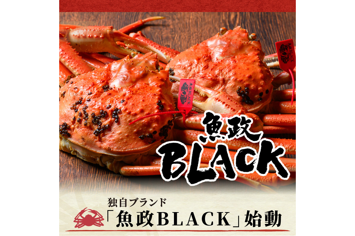 訳あり　【蟹の匠 魚政】茹で　プレミアムズワイガニ 魚政BLACK（松葉ガニ・越前ガニ） 中サイズ（800～900g） 2匹セット　(11月～12月発送)　UO01320