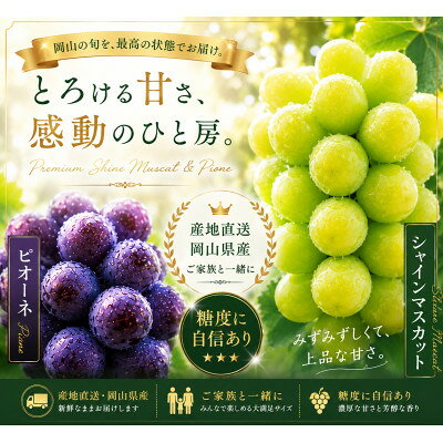 【ふるさと納税】岡山県産ぶどう詰め合わせ【福袋】1.8キロ以上(シャインマスカット1.0キロ以上お約束します)【配送不可地域：離島】【1754519】