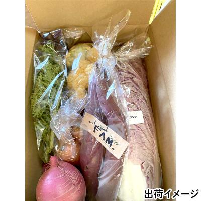 ふるさと納税 山田町 【数量限定】三陸山田産 カラフル 野菜 詰め合わせ 令和8年5月中旬以降発送 60サイズ |  | 02