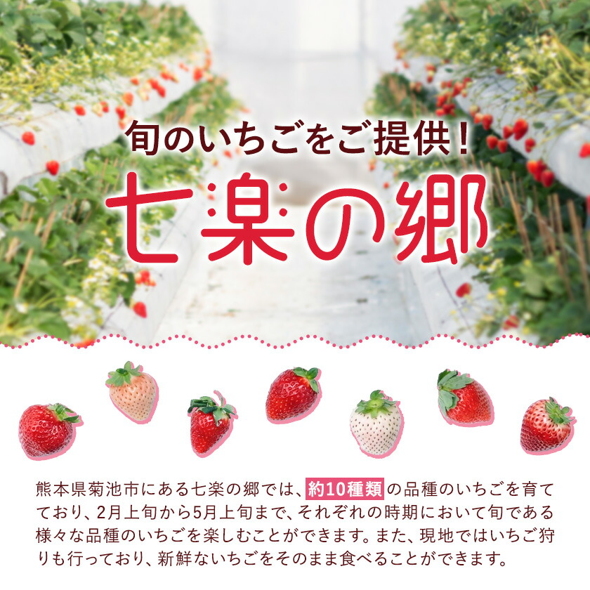 いちご 七楽の郷 4パック 1000g 旬の品種《3月上旬-5月中旬頃出荷》ゆうべに 紅ほっぺ あまえくぼ エンジェルエイト さがほのか スターナイト ひのしずく ほしうらら 章姫 白蜜香 恋みのり 