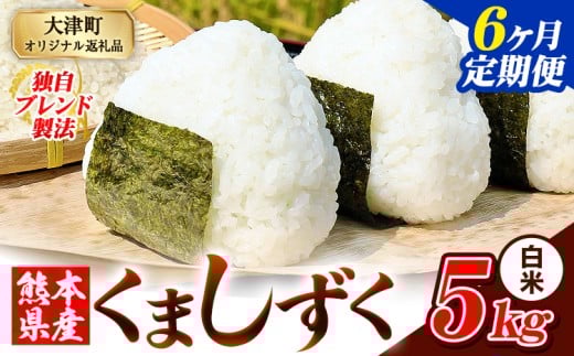 【6ヶ月定期便】白米 熊本県産 ブレンド米 くましずく 5kg 熊本県産 ふるさと納税 白米 精米 米 こめ ふるさとのうぜい コメ お米 おこめ《お申込月の翌月から出荷開始》
