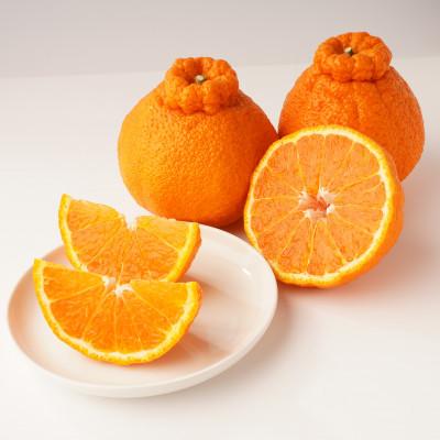 ふるさと納税 さぬき市 【発送月固定定期便】さぬき市旬のフルーツ定期便全6回