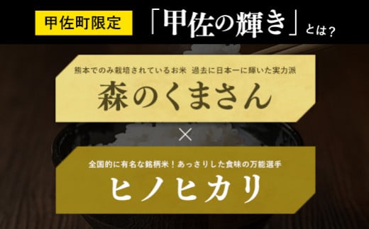 ★新米先行受付★令和６年産★『甲佐の輝き』無洗米10kg（5kg×2袋）【2024年10月以降より配送月選択可！】／出荷日に合わせて精【価格改定Z】米_イメージ2