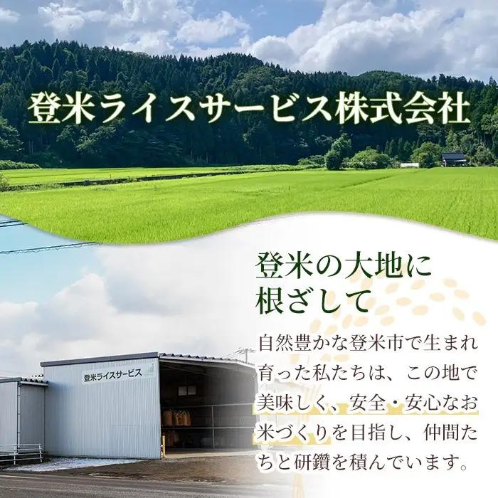 【14営業日以内に発送予定】≪令和7年産≫ コシヒカリ 10kg (5kg×2袋) 登米市産 お米 おこめ 米 コメ こしひかり 白米 ご飯 ごはん おにぎり お弁当 【登米ライスサービス株式会社】t