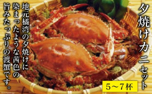 夕焼けカニ セット 5～7杯 [田中鮮魚店 長崎県 雲仙市 item1745] カニ かに 蟹 ワタリガニ セット