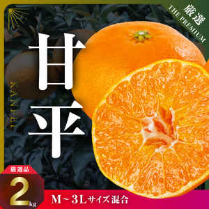 【愛媛限定】驚きの甘さ!幻の柑橘《甘平》2kg(M～3L玉混合)【D31-55】【1660047】 YWTAC044