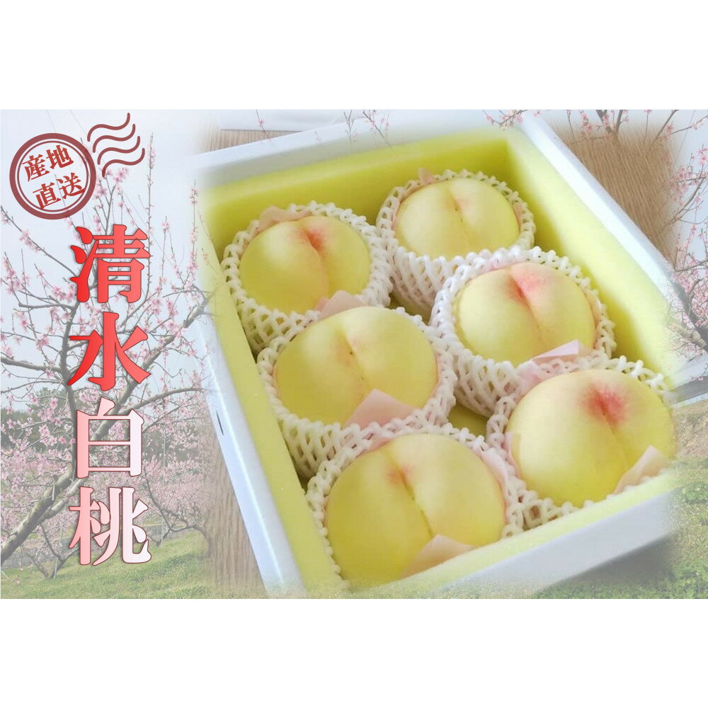 【ふるさと納税】桃 2026年 贈答用 岡山 清水 白桃 約2kg（5～7玉） もも モモ 岡山県 岡山市産 国産 フルーツ 果物 ギフト | もも フルーツ 果物 くだもの 食品 人気 おすすめ 送料無料