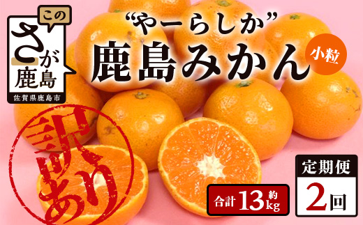 2回定期【訳あり】”やーらしか”鹿島産みかん 約6.5kg ×2回 【配送期日指定不可】佐賀県 鹿島市産 温州ミカン 旨み凝縮 小粒みかん B-714