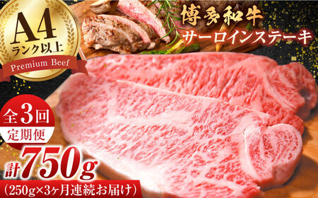 【3回定期便】サーロインステーキ250g×1枚 [AFBO002]