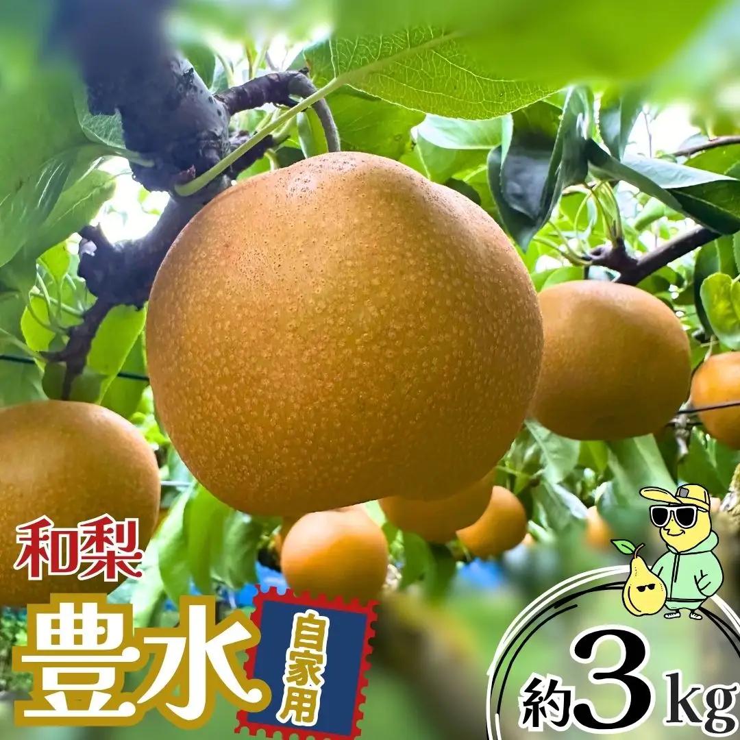 先行予約 豊水 自家用 約3kg 令和8年度 新潟フルーツ 新潟県産 梨 三条ファームWIN