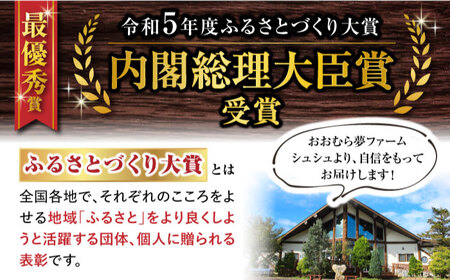 シュシュのジェラート8個セット / アイス あいす アイスクリーム あいすくりーむ ジェラート じぇらーと スイーツ すいーつ / 大村市 / おおむら夢ファームシュシュ[ACAA010]