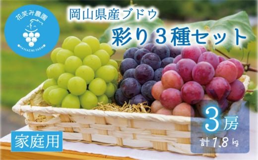 ＜2026年先行受付＞岡山　花笑み農園のブドウ『彩り3種セット』家庭用　1.8kg(3房)3M-2家_ぶどう 彩り 3種 セット 食べ比べ 家庭用 1.8kg フルーツ 果物 送料無料 岡山県 津山市【1695389】