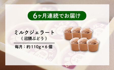 【全6回定期便】沼南ミルクジェラート 沼隈ぶどう ６個　アイス  ぶどう  アイス アイスクリーム デザート スイーツ ご当地 広島県福山市/甚ごろう[BAEC043]