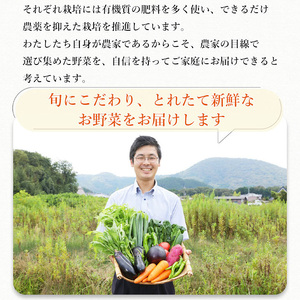 【12回定期便】黒毛和牛 ＆ 旬の京野菜 詰合せ　毎月お届け・全12回コース《京都 丹波 和牛 お楽しみ》 ※沖縄・離島・諸島へのお届け不可