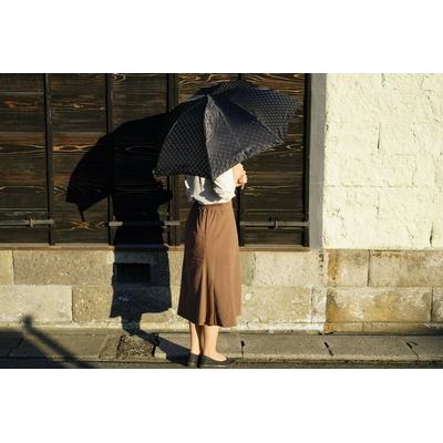 ふるさと納税 古河市 雪華模様の折り畳み傘(サイズ60cm)カラー:ブラック | 傘 かさ 65センチ 雨具 _BL15 |  | 01