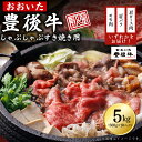 【ふるさと納税】訳あり！ 豊後牛 しゃぶしゃぶすき焼き用 ( 肩ロース肉 ・ 肩バラ肉 ・ モモ肉 ) 5kg ( 500g × 10p ) 牛肉 肉 お肉 肩ロース 肩バラ モモ しゃぶしゃぶ すき焼き 国産 九州産 大分県産 D16