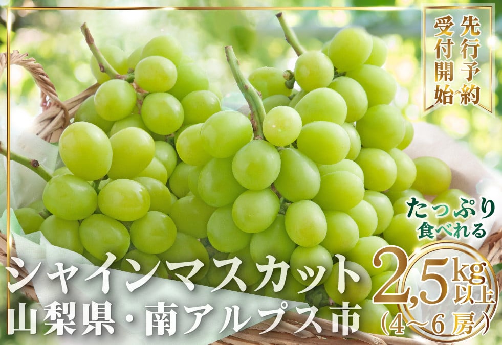 5-50【2026年発送 大容量】山梨県産 シャインマスカット2.5㎏以上(4～6房) ALPAI025