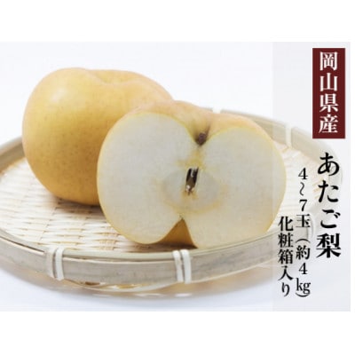 岡山県産 あたご梨 4～7玉(約4kg) 化粧箱入り【配送不可地域：離島・北海道・沖縄県】