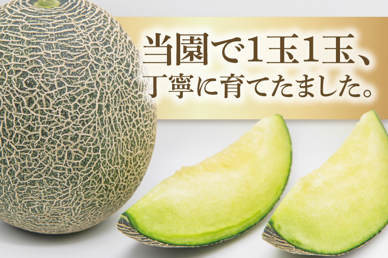 先行予約 グリーンメロン 5kg  3玉入 4玉入 山崎農園 産地直送 お取り寄せ 夏 旬 フルーツ 果物 くだもの 甘い メロン 茨城県 阿見町【2026年5月下旬～6月中旬頃順次発送予定】（70-02-1）