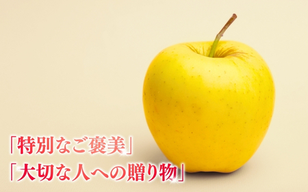 【2025年先行予約】りんご シナノゴールド 12〜20玉 約5kg ｜ りんご りんご りんご りんご りんご りんご