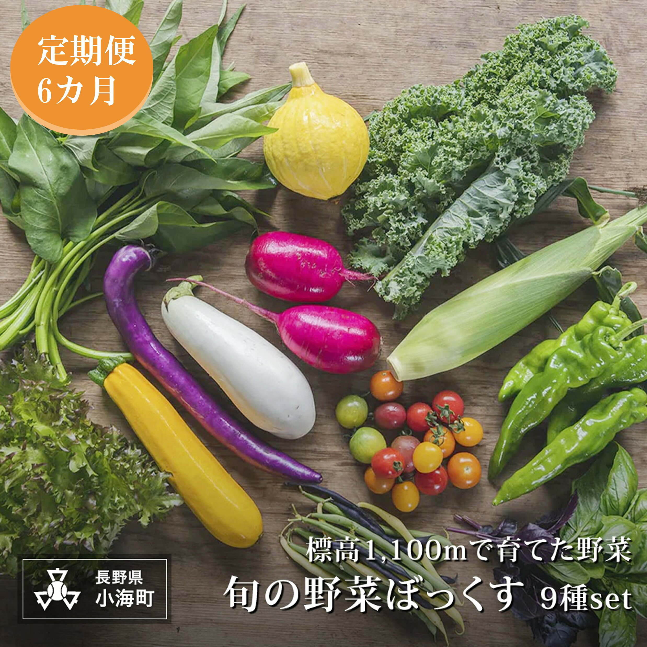 【ふるさと納税】【2027年発送先行予約】★定期便6か月★あとくら農園 旬の野菜ぼっくす9種セット| 野菜 新鮮 旬 新鮮 高原野菜 根菜 長野県小海町