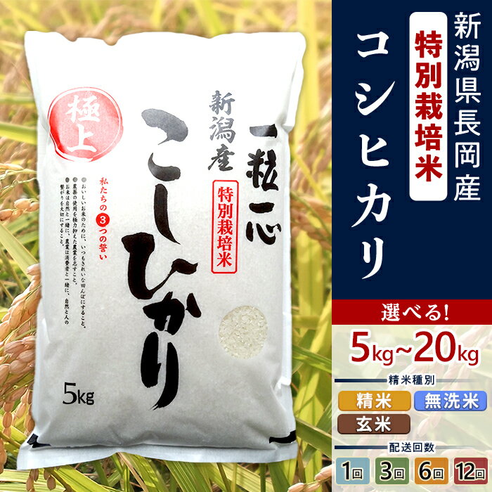 【ふるさと納税】米 無洗米 玄米 定期便 5kg 10kg 新潟コシヒカリ 令和7年産 選べる容量 種類 発送回数 1回 3回 6回 12回 3ヶ月 6ヶ月 12ヶ月 新潟こしひかり 新潟 コシヒカリ 精米 白米 お米 新潟県産コシヒカリ（有限会社グリーン）