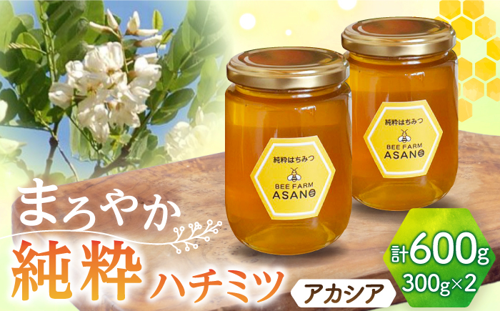 
                  純粋ハチミツ アカシア 300g×2 瑞浪市 / honey shop Bee farm asano 蜂蜜 はちみつ [AZBT001]
                