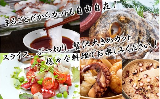 船上活き締め！ゆでたこ丸ごと約1kg（約1～４杯）