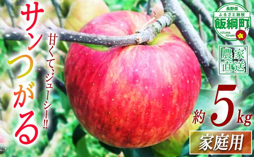 
                  りんご サンつがる 家庭用 5kg 中村ファーム 沖縄県への配送不可 2026年9月上旬頃から2026年9月中旬頃まで順次発送予定 令和8年度収穫分 長野県 飯綱町 [0858]
                