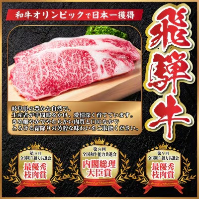 飛騨牛　厳選カルビ・赤身(焼肉・BBQ用)　計1.2kg(各300g×2)　黒毛和牛　小分け【配送不可地域：離島】