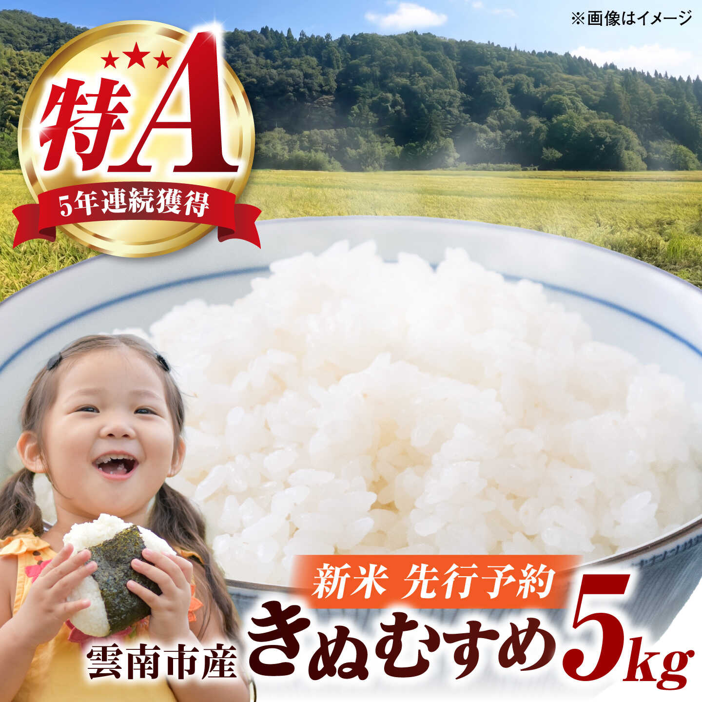 【ふるさと納税】【先行予約】【100個限定】【2026年10月以降発送】新米 雲南市産きぬむすめ5kg 米 コメ 白米 精米 kome こめ 数量限定 新米予約 5年連続 特A評価 島根県産きぬむすめ 島根県雲南市/なべやまらいす株式会社[AIER001] 1万円以下 1万以下 お試し
