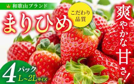 【先行予約】まりひめ いちご 12粒～15粒入り×4パック（1kg）2027年1月中旬頃～2027年3月下旬頃に順次発送予定（お届け日指定不可）/ いちご 苺 まりひめ 和歌山 フルーツ 果物 くだもの【kgr008B】