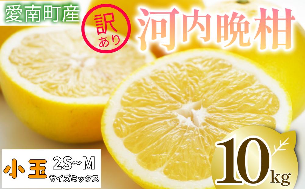 
                   訳あり 河内晩柑 10kg 小玉 2S M サイズミックス 家庭用 樹齢 20年 以上 古木 和製 グレープフルーツ 愛南ゴールド 直送 フルーツ 人気 柑橘 爽やか 甘み ジューシー 果汁 旬の果物 くだもの みかん サイズ不揃い 産地直送 農園直送 春 味覚 初夏 デザート ジュース おすすめ 生搾り デザート ゼリー 愛媛県 愛南町 清家ばんかんビレッジ
                