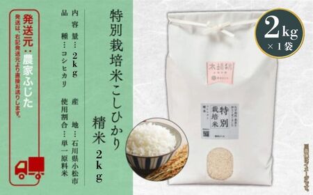 こしひかり 精米 2kg  特別栽培米 令和7年産 こしひかり コシヒカリ 農家ふじた