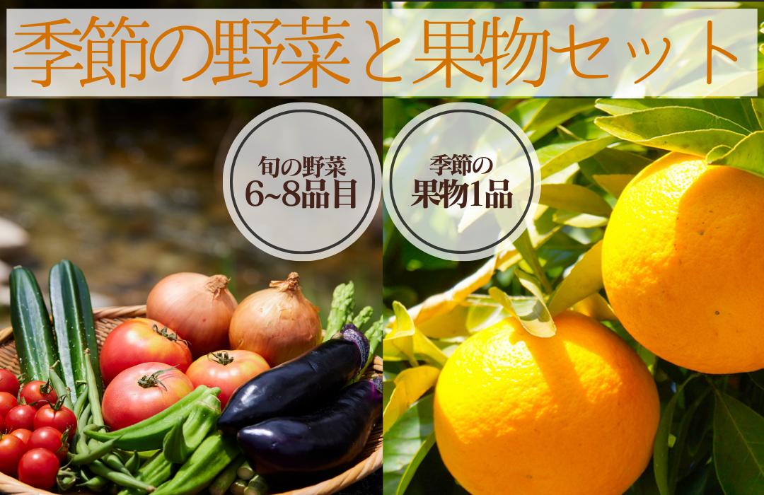 
湯の花　季節の野菜と果物セット　 柑橘 果物 野菜 静岡県産 南伊豆町 定期便 おまかせ 旬 みかん やさい
