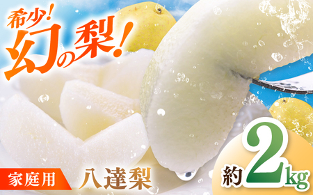 【先行予約】 川渕果樹園 八達梨 約2kg 家庭用 〈2025年10月?発送〉 / 梨 なし ナシ 果物 フルーツ デザート 秋 甘い ジューシー 【株式会社Dorago】[ATAM060]
