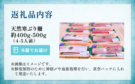【先行予約】 氷見産 天然寒ぶり 柵 4-5人前 約400g-500g 【2025年11月中旬以降順次発送】 釣屋魚問屋直営 ひみ岸壁市場 富山県 氷見 氷見漁港 能登 寒ブリ 天然鰤 サク ひみ岸壁