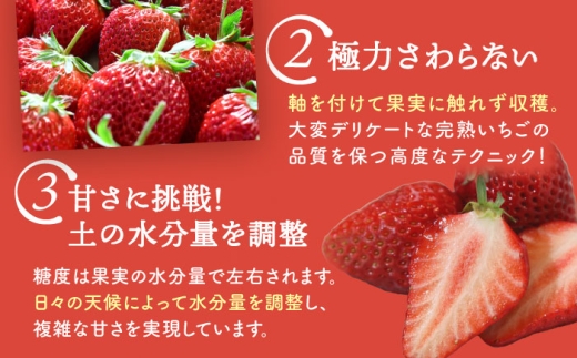 【2kg】 冷凍苺 果物 フルーツ 紅ほっぺ やよい姫 かんな姫 愛西市 / くぼ苺農園 【配達不可：離島】 [AECJ026]