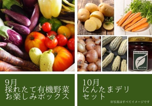 【数量限定】北海道 ニセコ 旬の有機栽培野菜セット 定期配送4回分  オーガニック 野菜詰め合わせ お取り寄せ グルメ