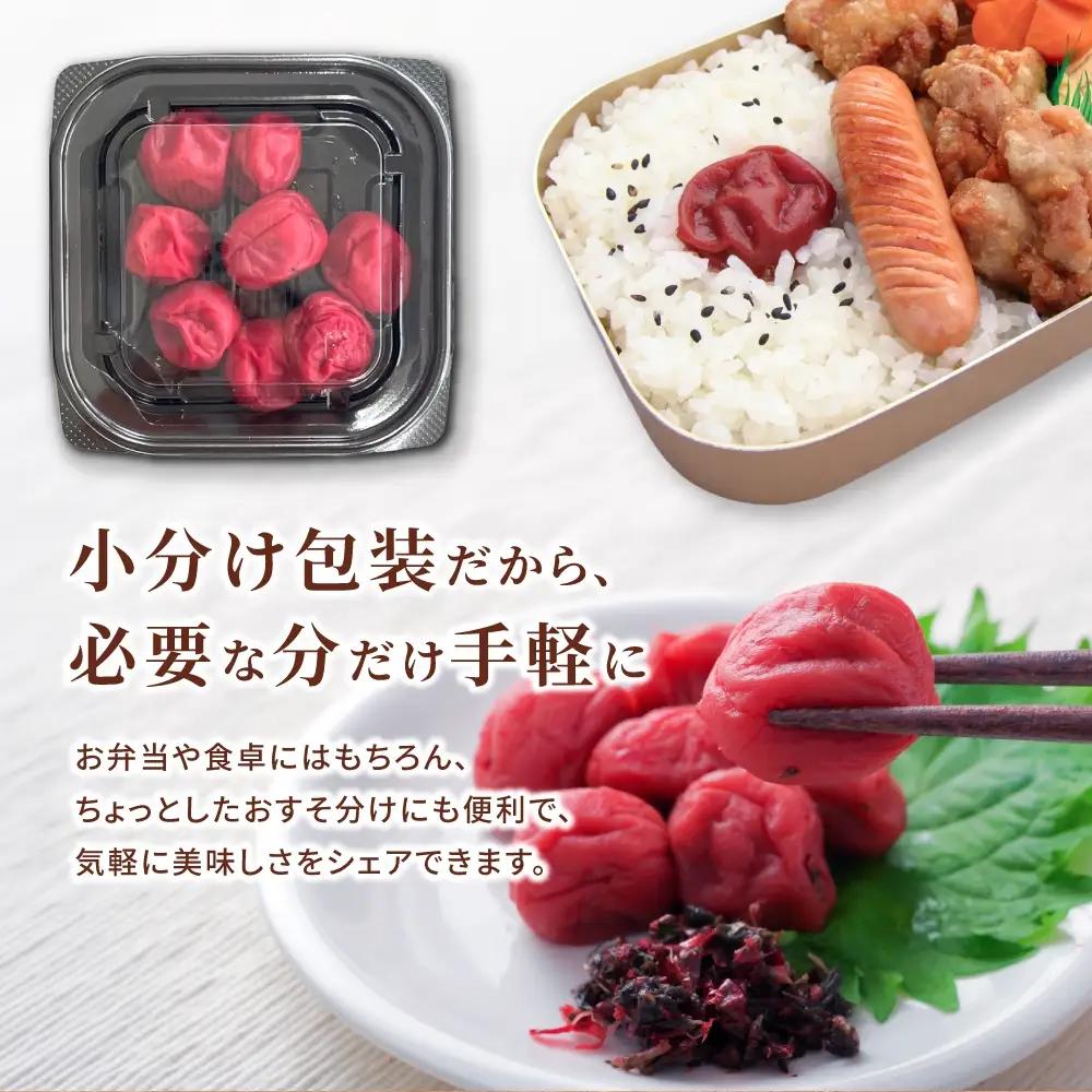 梅干し 小分け 南高梅 無添加 しそ漬け梅干し 110g×2【frsn0019B】