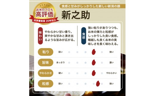 令和8年産 先行予約 新潟県 上越市産米 新之助 定期便 5kg×3回 計15kg 3か月 しんのすけ 新米 精米 米ヴィレッジさんわ 上越市三和区