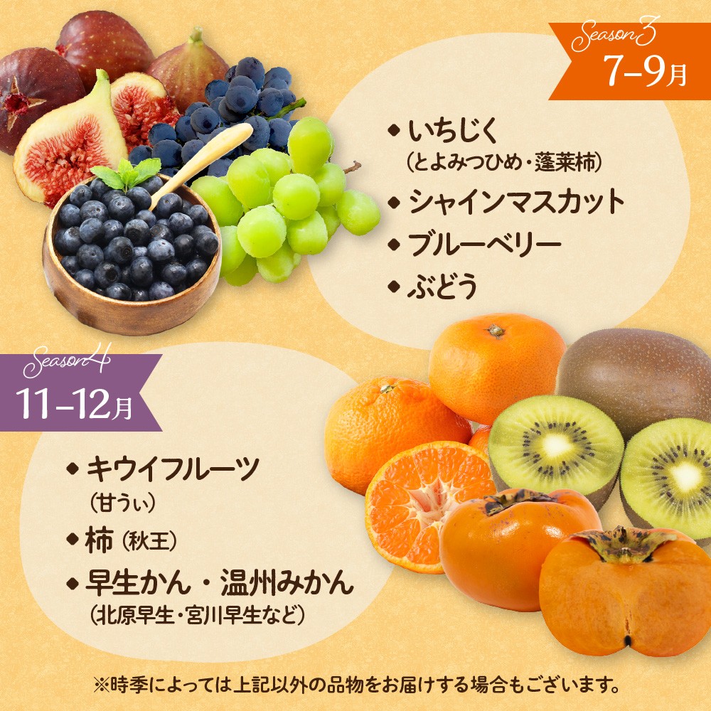 何が届くかお楽しみ！むなかた旬のフルーツ福袋定期便【年4回】