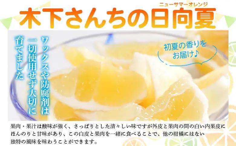 ＜木下さんちのニューサマーオレンジ 訳あり 約5kg（大中小サイズ混み）＞ 柑橘類 日向夏 ミカン 蜜柑 果物 くだもの フルーツ 国産 特産品 木下農園 愛媛県 西予市【常温】『2027年4月上旬～