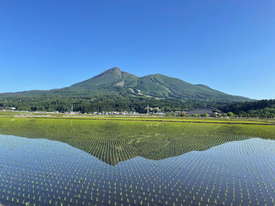 【令和5年産】猪苗代町産ゆうだい21 白米2kg